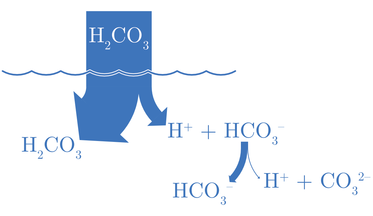 Dissociation de l'acide carbonique.